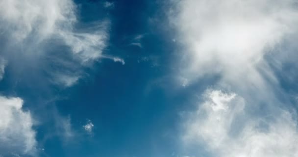 Самолет летит в облаках, петля видео Кинограф — стоковое видео