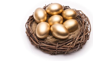 Beyaz zemin üzerine altın yumurta yuva. Altın yumurta yuvada