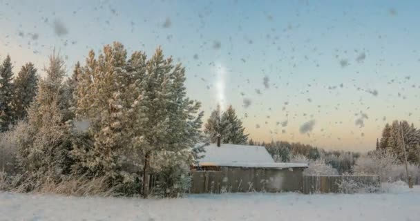 Небольшая бревенчатая хижина возле леса, красивый снегопад на закате, красивый зимний пейзаж. video loop, cinemagrapf — стоковое видео