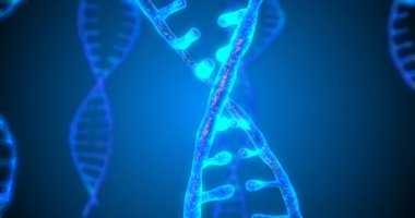 Alan derinliği ile soyut ışıltılı Dna çift sarlak. Enkazdan DNA yapımının animasyonu. Bilim animasyonu. Genetik bilginin kavramsal tasarımı. 4k, alfa kanalı