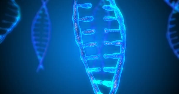 추상빛나는 DNA 피사계 심도이중 나선. 파편에서 DNA 구조의 애니메이션. 과학 애니메이션. 제놈 미래 지향적 인 영상. 유전학 정보의 개념 적 디자인. 4k — 비디오