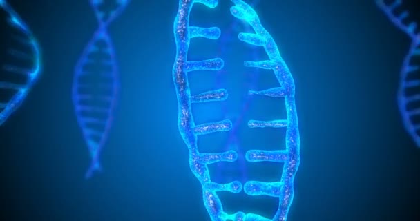Abstracte glinsterende DNA dubbele helix met scherptediepte. Animatie van DNA-constructie van debrises. Science Animation. Genom futuristisch beeldmateriaal. Conceptueel ontwerp van informatie over genetica. 4k — Stockvideo
