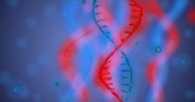 Alan derinliği ile soyut ışıltılı Dna çift sarlak. Enkazdan DNA yapımının animasyonu. Bilim animasyonu. Genetik bilginin kavramsal tasarımı. 4k, alfa kanalı