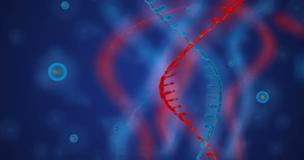 DNA brilhante abstrato dupla hélice com profundidade de campo. Animação de construção de DNA a partir de detritos. Animação científica. Imagens futuristas do Genom. Desenho conceitual da informação genética. 4k — Vídeo de Stock