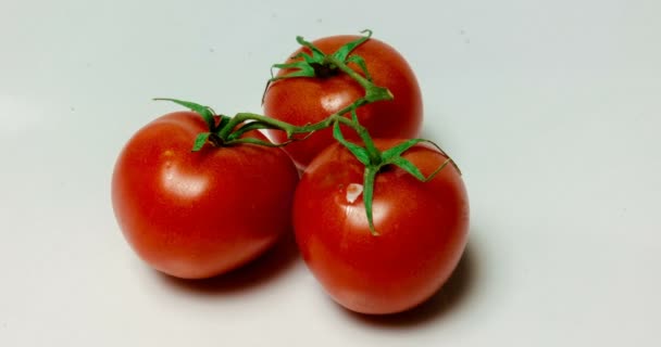 Beyaz arka planda, yaşlanma ve kurutma domates zaman atlamalı — Stok video