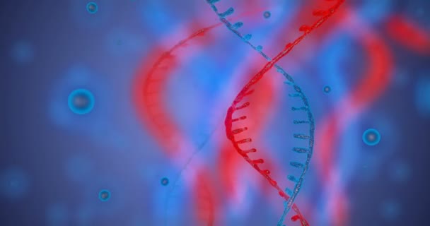 Abstrakt glittrande DNA dubbel spiral med skärpedjup. Animering av DNA-konstruktion från debrises. Vetenskap animation. Genom futuristisk film. Konceptuell utformning av gen etik information. 4K — Stockvideo