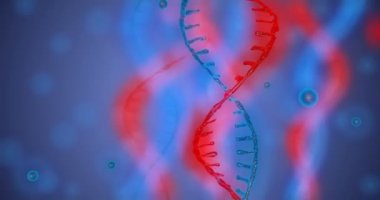 Alan derinliği ile soyut ışıltılı Dna çift sarlak. Enkazdan DNA yapımının animasyonu. Bilim animasyonu. Genetik bilginin kavramsal tasarımı. 4k, alfa kanalı