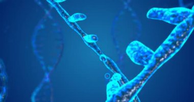 Alan derinliği ile soyut ışıltılı Dna çift sarlak. Enkazdan DNA yapımının animasyonu. Bilim animasyonu. Genom fütüristik görüntüleri. Genetik bilginin kavramsal tasarımı. 4k