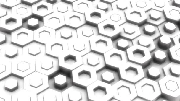 Astratto Hexagon Geometric Surface Loop, Vista frontale: luce brillante pulito minimale modello a griglia esagonale, ondulante movimento tela di sfondo nei colori bianco e grigio . — Video Stock