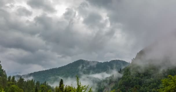 Eső után a hegyekben, köd emelkedik a hegyek, gyönyörű hegyi táj, az idő megszűnik — Stock videók