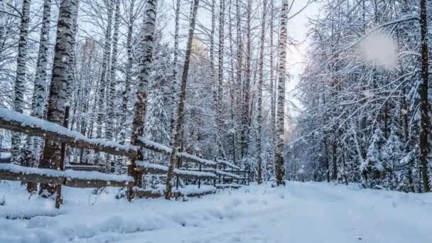 Winter landschap met prachtige sneeuwval en ondergaande zon. — Stockvideo