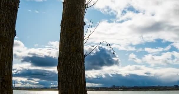 2 本の木の間の滑らかなカメラの動き。秋の太陽、タイムラプス、ハイパーラプス。美しい秋の風景 — ストック動画