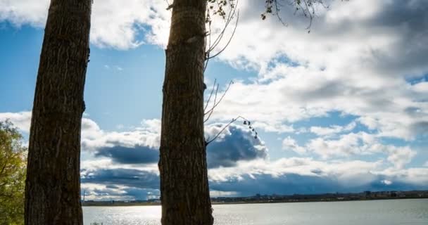 Movimento della fotocamera liscia tra due alberi. Sole autunnale, timelapse, iperlapse. Bellissimo paesaggio autunnale — Video Stock