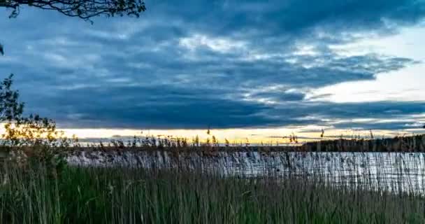 4K Time lapse, beau ciel avec fond de nuages bleu foncé, ciel avec nuages météo nature nuage bleu, rayons du soleil à travers un arbre, nuages au lever du soleil
