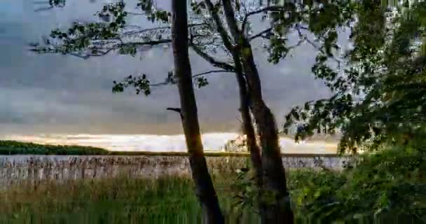 緑の森。松の木妖精の森。木のパターン。森の中のカメラの動き。夏の素晴らしい緑の山の森。湖の上の日没。右へのカメラの動き,時間経過4k. — ストック動画