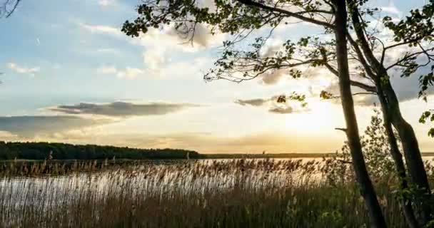 Puesta de sol sobre el lago. Un maravilloso bosque verde en verano. Movimiento hacia atrás de la cámara, lapso de tiempo 4k . — Vídeo de stock