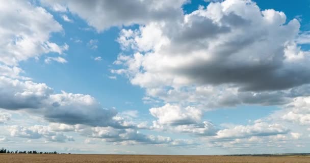 Nuvens bonitas no campo, lapso de tempo, verão bela paisagem, vídeo loop — Vídeo de Stock