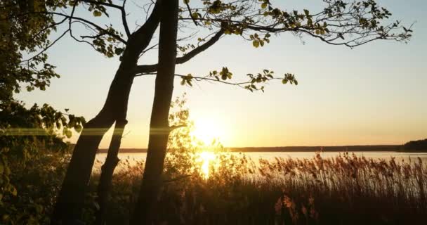 Схід сонця на озері, прекрасний літній пейзаж, час сходу сонця і хмар. 4-кілометровий — стокове відео