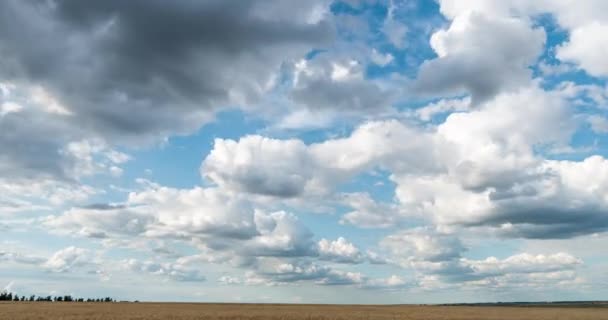 Облака в поле, потеря времени, летний красивый пейзаж, видеофрагмент — стоковое видео