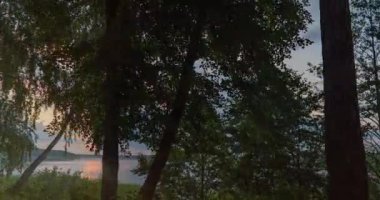 Güneş doğarken göl kıyısında yüksek hız. Yoğun kümülüs bulutları, güzel yaz manzarası, ağaçlar arasında kıyı boyunca kamera hareketleri.