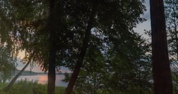 Hyperlapse am Seeufer bei Sonnenaufgang mit dichten Kumuluswolken, schöne Sommerlandschaft, Kamerafahrt am Ufer zwischen Bäumen — Stockvideo