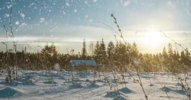 Floresta neva.Vista de cima para baixo em uma floresta nevada de inverno, paisagem natural, florestas congeladas — Vídeo de Stock