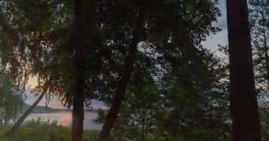 Güneş doğarken göl kıyısında yüksek hız. Yoğun kümülüs bulutları, güzel yaz manzarası, ağaçlar arasında kıyı boyunca kamera hareketleri.