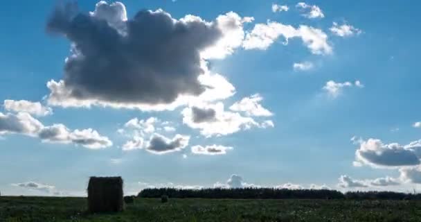Campo de trigo de verão após a colheita ao pôr do sol, agricultura timelapse, cena de hiperlapso — Vídeo de Stock
