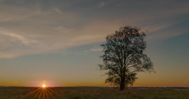 Hyperlapse albero nel campo durante l'alba, bellissimo paesaggio autunnale, timelapse nel campo — Video Stock