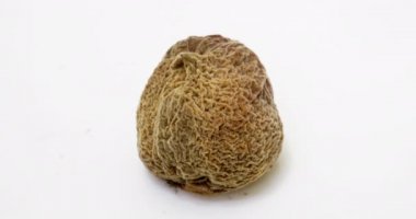 Beyaz arka planda şeftali çürümesinin zaman aşımı, çürüme ve çürüme süreci, çekim süresi 10 gün. Zaman çevrimi, video döngüsü