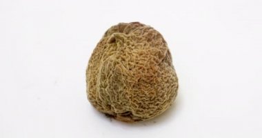 Beyaz arka planda şeftali çürümesinin zaman aşımı, çürüme ve çürüme süreci, çekim süresi 10 gün. Zaman çevrimi, video döngüsü