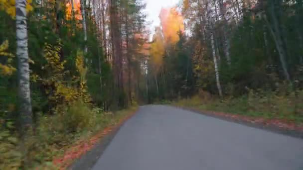 An einem sonnigen Herbsttag fährt man auf einer leeren Asphaltstraße mit gelben Markierungen durch einen Mischwald mit Kiefern und Bäumen mit gelbem Laub. Im Grand Canyon Nationalpark, pov aus dem Auto — Stockvideo