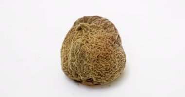 Beyaz arka planda şeftali çürümesinin zaman aşımı, çürüme ve çürüme süreci, çekim süresi 10 gün. Zaman çevrimi, video döngüsü