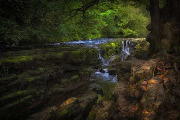 Die Schlucht Bei Sgwd Pannwra Beliebter Ort Für Erholung Und — Stockfoto