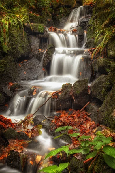 Herfstbladeren Een Trapsgewijze Waterval Buurt Van Japanse Brug Clyne Tuinen — Stockfoto