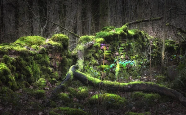 Upiorny Las Pozostałości Starej Mchu Pokryte Murem Blaen Glyn Pobliżu — Zdjęcie stockowe