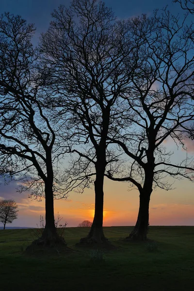Sonnenuntergang Ravenhill Park Der Nähe Der Fforesfach Region Von Swansea — Stockfoto