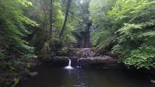 Sgwd Gwladusの滝の上の川に沿って立地Sgwdアイニオンガムの滝 Sgwdアイニオンガムは滝の国として知られている南ウェールズ地域でアクセスするのが困難な滝です — ストック動画