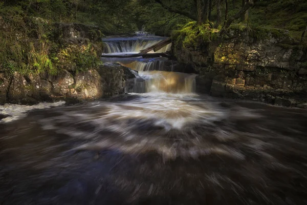 Basen Horseshoe Faller Sgwd Bedol Vid Sgwd Ddwli Floden Neath — Stockfoto