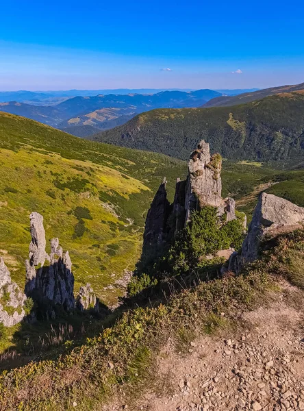 Yazın Karpatlar 'da kayalık dağlarla dolu güzel bir manzara.