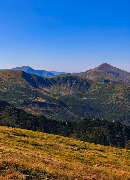 Ukrayna Karpatlarının dağlarının inanılmaz manzarası.