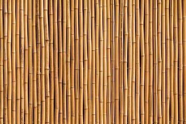 İç veya dış tasarım için bambu çit veya duvar dokusu arka planı. 