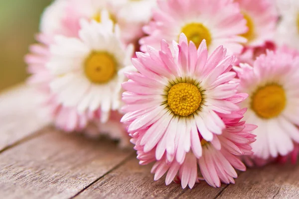 Blumenstrauß aus Gänseblümchen im Sommer oder Frühling auf Holzbrettern im Garten vor grünem Hintergrund — Stockfoto