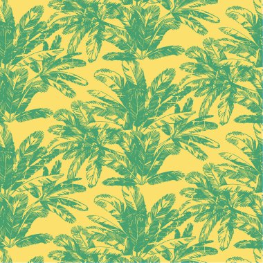 California sürüş düzeni