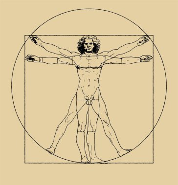 Leonardo da Vici 'nin Vitruvian Man çizimi. Meşhur çizimin temiz vektör çizimi. İnsan vücudunun orantılarının klasik şeması.