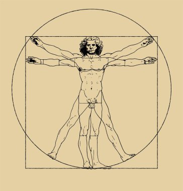 Vitruvian Man drawing by Leonardo da Vici. Clean vector illustration of famous drawing. Vintage scheme of proportions of human body. clipart