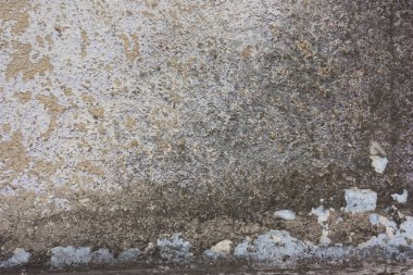 Duvar sıva beyaz, gri yeşil. Grunge, acımasız arka plan