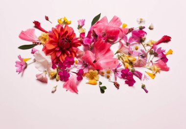 Pastel mercan Pembe çiçek backgroundy