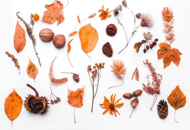 Sonbahar Yaratıcı kavramı. Sarı kuru yapraklardan oluşan arka plan.