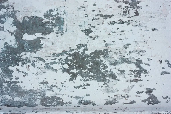 Fond de plâtre grunge monochrome blanc — Photo
